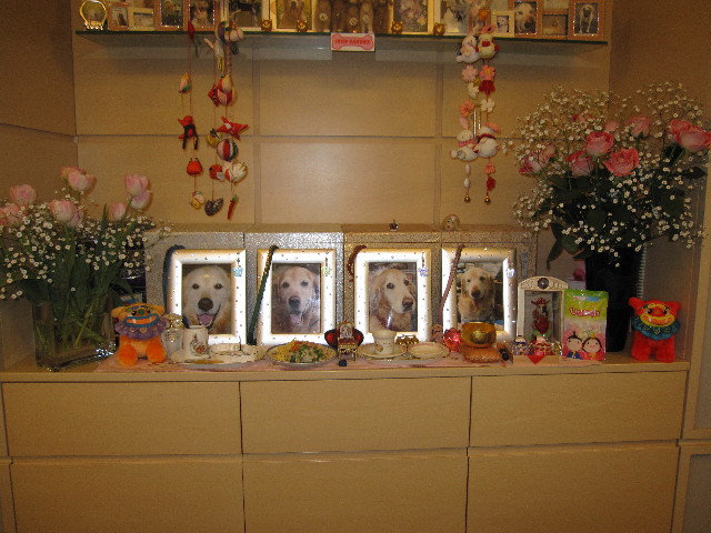 ファイル 1143-5.jpg