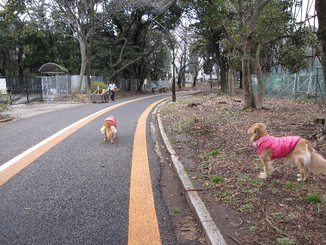 ファイル 1144-1.jpg