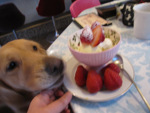 ファイル 1144-4.jpg