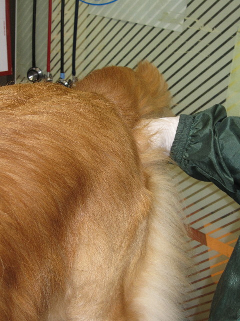 ファイル 1146-5.jpg