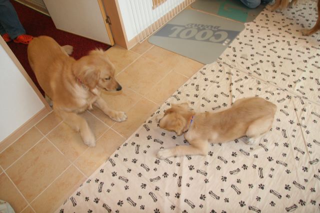 ファイル 115-1.jpg