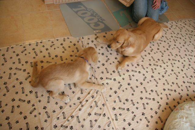 ファイル 115-2.jpg