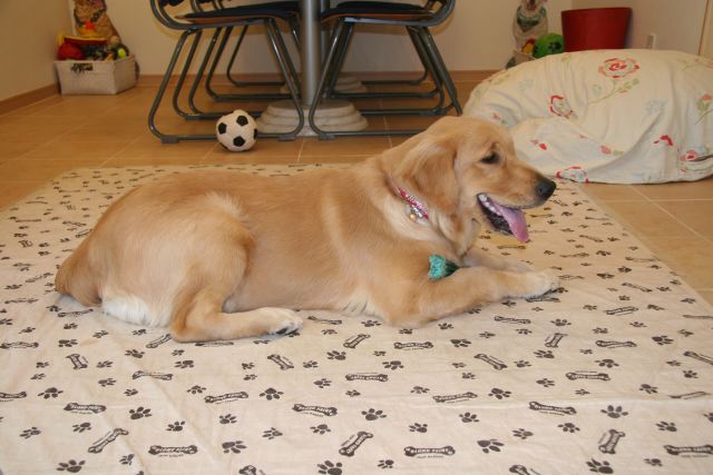 ファイル 115-5.jpg