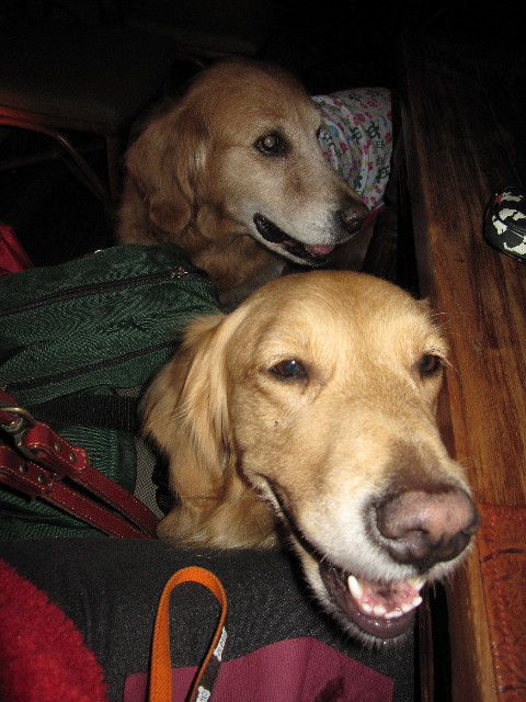 ファイル 1151-3.jpg