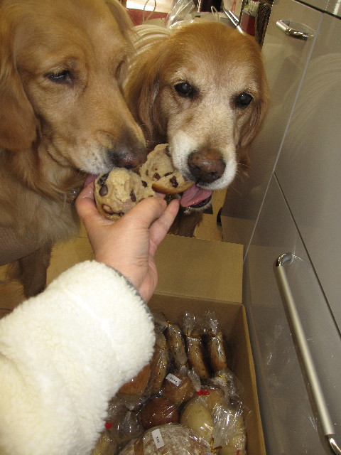 ファイル 1152-2.jpg