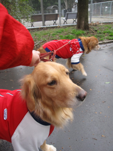 ファイル 1154-1.jpg