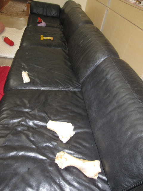 ファイル 1154-4.jpg