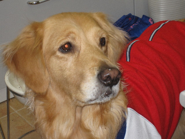 ファイル 1154-5.jpg