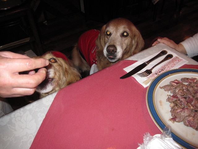 ファイル 1155-2.jpg