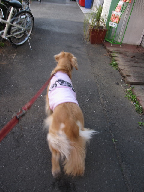 ファイル 1157-1.jpg