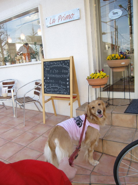 ファイル 1157-2.jpg