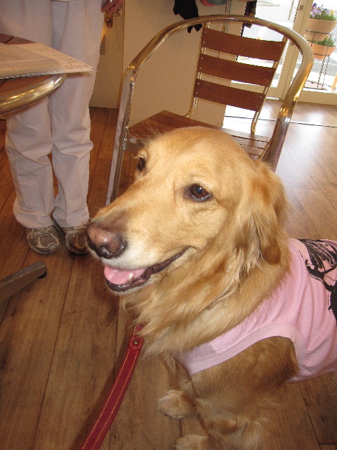 ファイル 1157-3.jpg