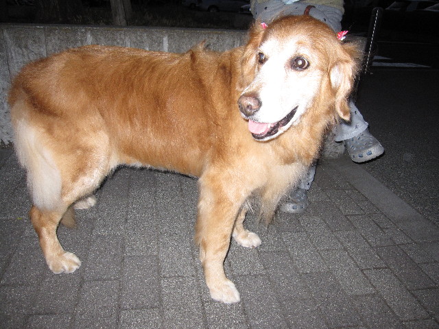 ファイル 1159-5.jpg