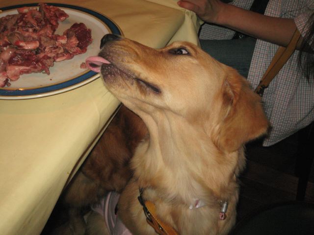 ファイル 116-5.jpg