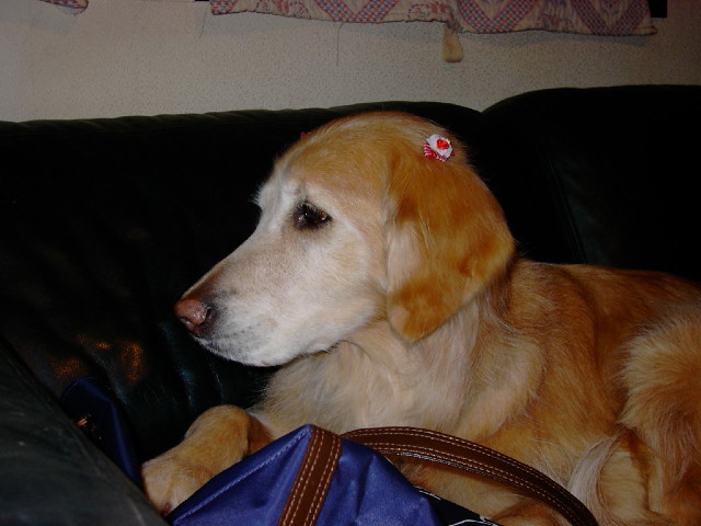 ファイル 1160-3.jpg