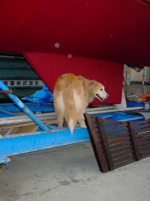 ファイル 1160-4.jpg