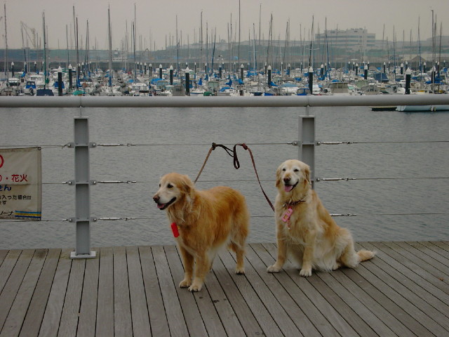 ファイル 1160-5.jpg