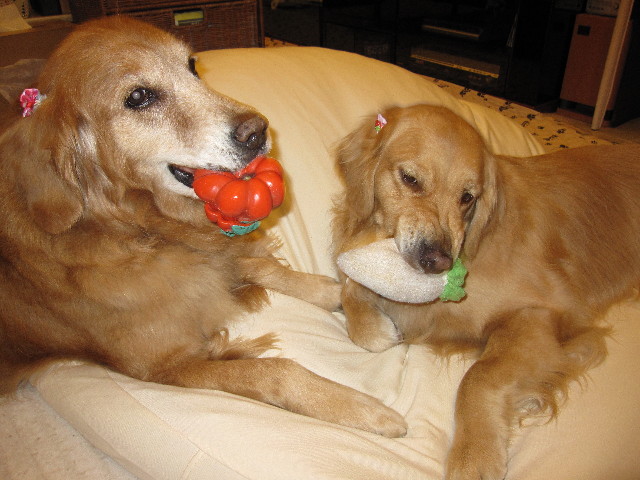 ファイル 1161-2.jpg