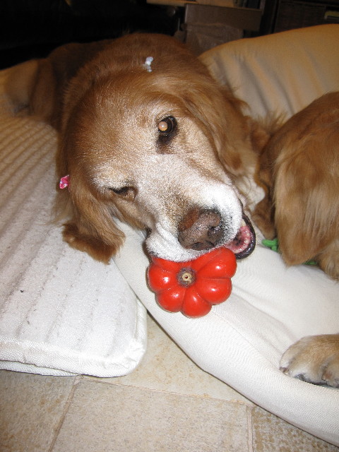 ファイル 1161-3.jpg