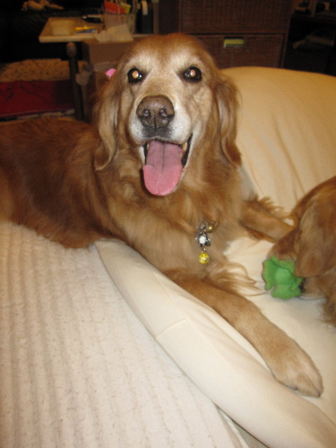 ファイル 1161-4.jpg