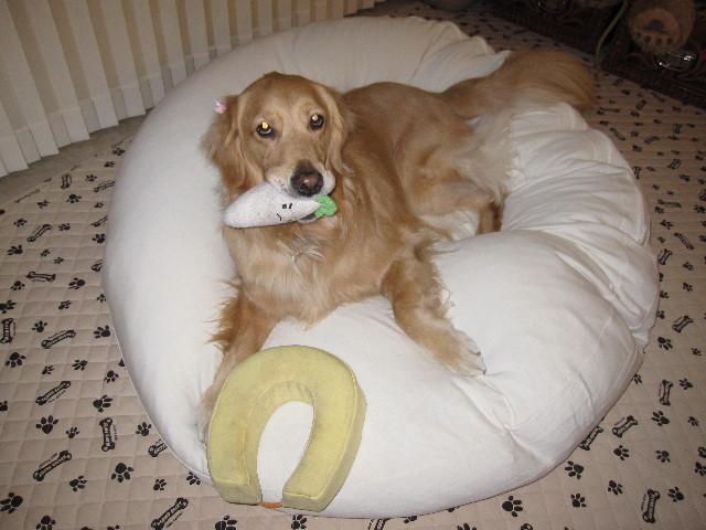 ファイル 1162-5.jpg