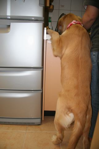 ファイル 117-1.jpg