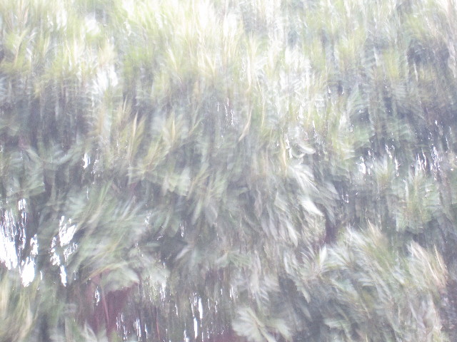 ファイル 1171-1.jpg