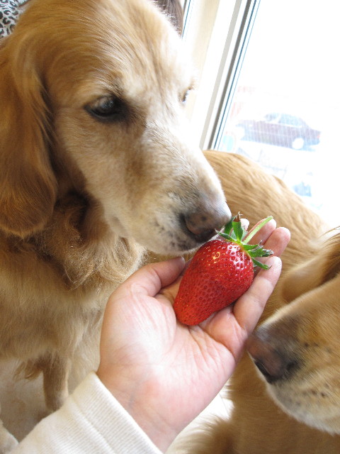 ファイル 1172-2.jpg