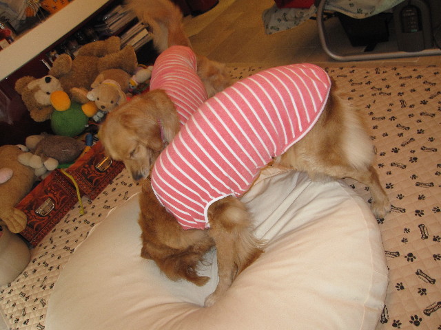 ファイル 1173-3.jpg