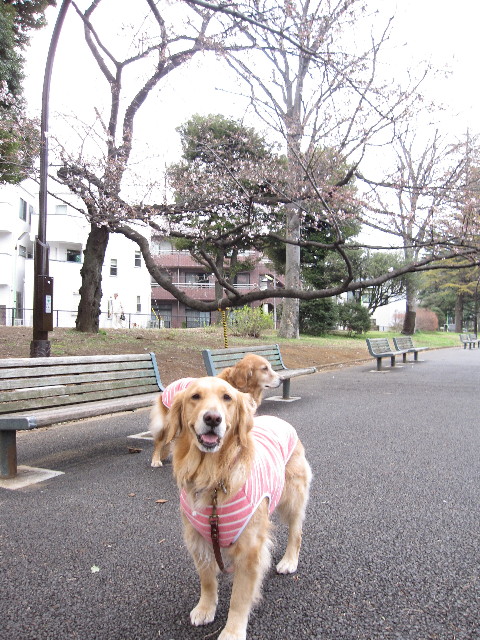 ファイル 1173-5.jpg