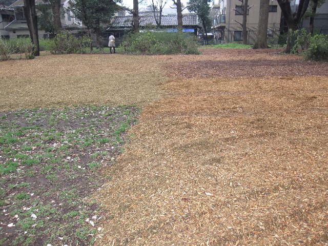 ファイル 1175-3.jpg