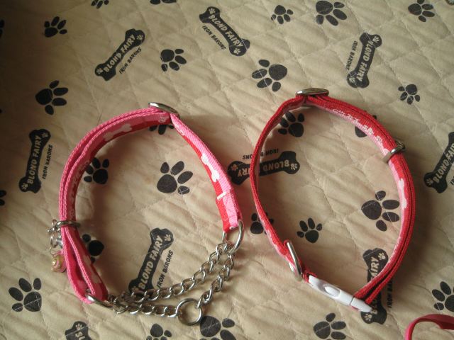 ファイル 118-1.jpg