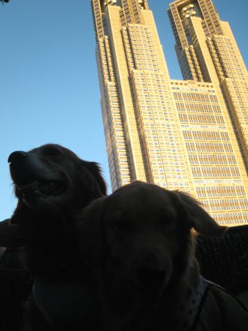 ファイル 118-3.jpg