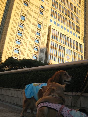 ファイル 118-4.jpg