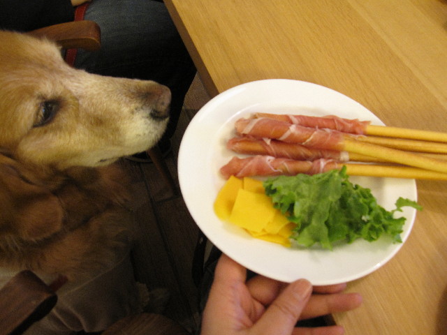 ファイル 1182-3.jpg