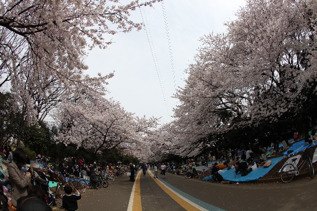 ファイル 1188-2.jpg