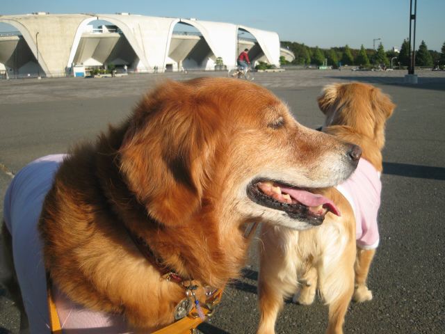 ファイル 119-2.jpg