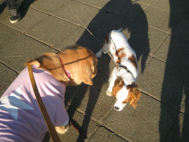 ファイル 119-3.jpg