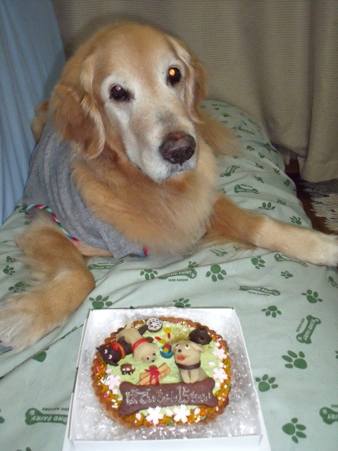 ファイル 1190-1.jpg