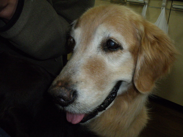 ファイル 1190-3.jpg