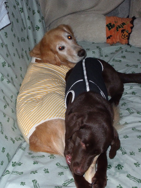 ファイル 1190-5.jpg