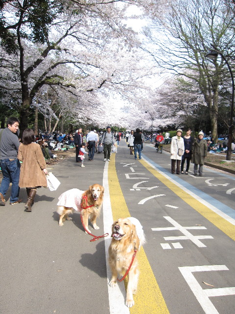 ファイル 1191-4.jpg