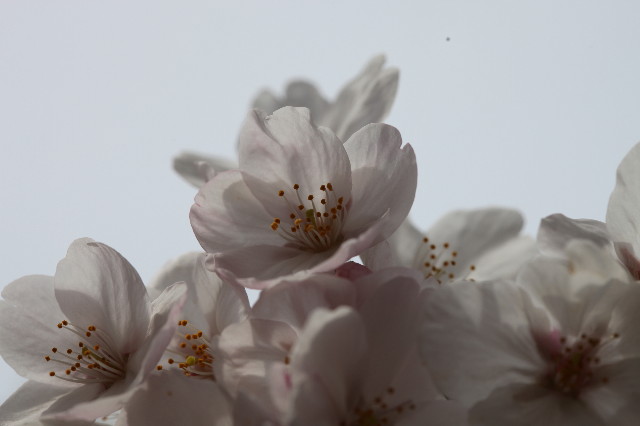 ファイル 1191-5.jpg