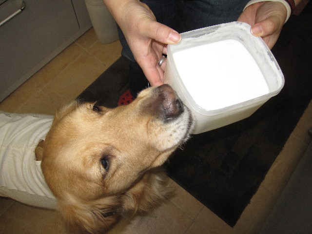 ファイル 1193-4.jpg