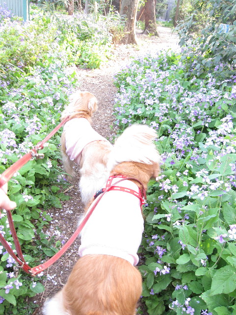 ファイル 1195-1.jpg