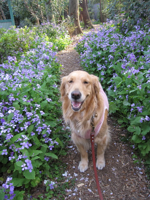 ファイル 1195-4.jpg