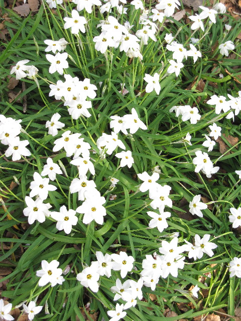 ファイル 1195-5.jpg