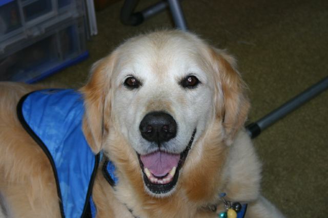 ファイル 120-1.jpg