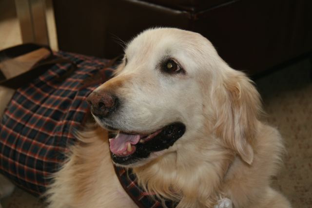 ファイル 120-4.jpg