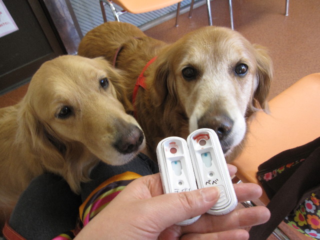 ファイル 1200-1.jpg